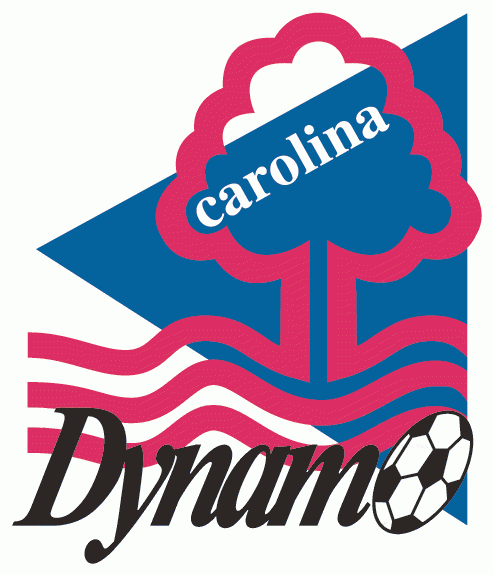 carolina dynamo 2003-pres primary Logo t shirt iron on transfers